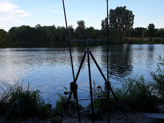 Main (Flörsheim / Rüsselsheim)-2