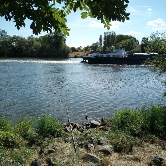 Main (Flörsheim / Rüsselsheim)