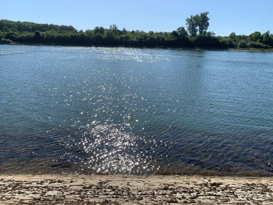 Rhein (Philippsburg)-1