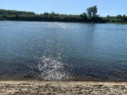 Rhein (Philippsburg)-1