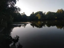 Kolk am Süderweg (Leer)-3