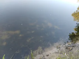 Kolk am Süderweg (Leer)-2