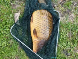 Großer Graben (Huy)-1