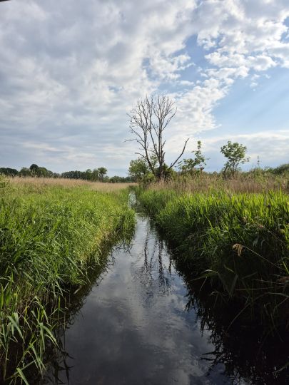 Amtsgraben (Crivitz)-1