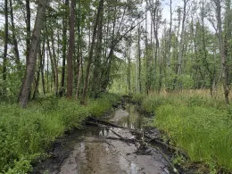 Amtsgraben (Crivitz)