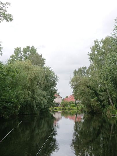 Knauthainer Südteich-1