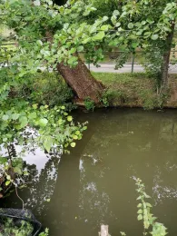 Mühlbach (Dorfen)-3