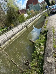 Mühlbach (Dorfen)-4