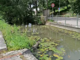 Mühlbach (Dorfen)-2