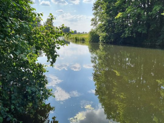 Jeetzel (Wustrow/Wendland)-3