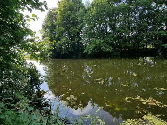 Jeetzel (Wustrow/Wendland)-4