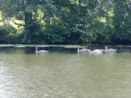 Oder-Spree-Kanal (Fürstenwalde/Spree)-3