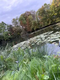 Hafermühlenteich (Helmstedt)