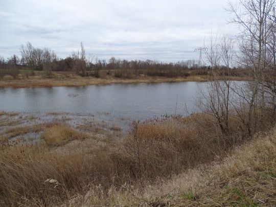 Kiessee Gastrasse (Schladebach)-1