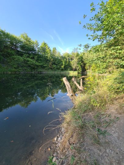 Steinbruch (Grünau)