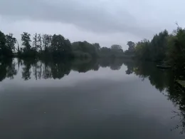 Blink (Kamp-Lintfort)-2