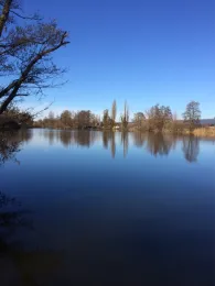 Blink (Kamp-Lintfort)-3