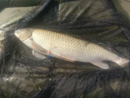 Schreibersweiher (Klebheim)