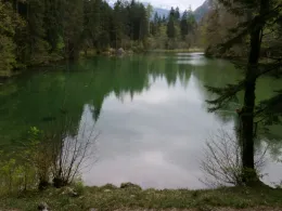 Taubensee (Ruhpolding)