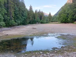 Taubensee (Ruhpolding)-4