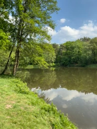 Franzosenteich (Dülmen)-2