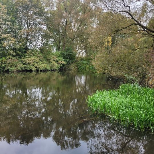 Oker (Braunschweig-Stöckheim)-2