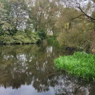 Oker (Braunschweig-Stöckheim)-2