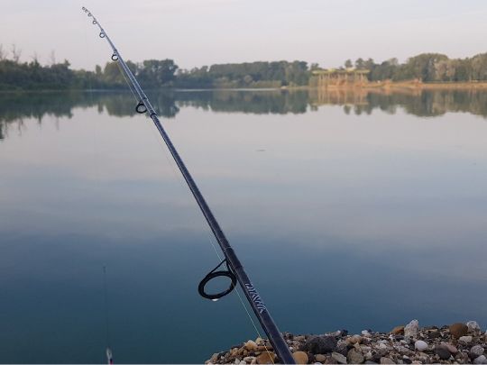 Kiesgrube Neuried-Altenheim ll-1