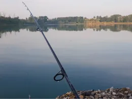 Kiesgrube Neuried-Altenheim ll-1