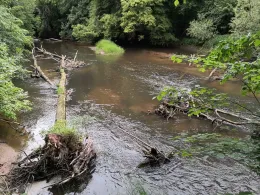 Kinzig (Langenselbold)-0