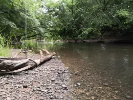 Kinzig (Langenselbold)