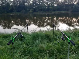 Mühlweiher (Bruck i.d. Oberpfalz)