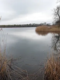 Kiestagebau Elbekies (Prettin)-2