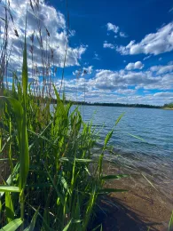 Kiestagebau Elbekies (Prettin)-3