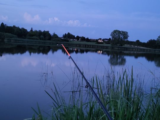 Lac Vert (Mittersheim)-1