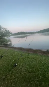 Lac Vert (Mittersheim)-3