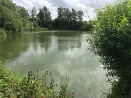 Holungsbügelteich-2