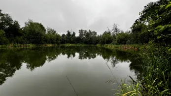 Holungsbügelteich-4