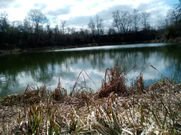 Holungsbügelteich-3