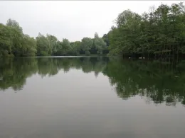 Blutwiesensee (Löhne)-1