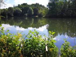 Blutwiesensee (Löhne)-3