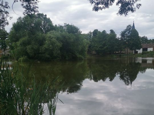 Teich Borgisdorf-2