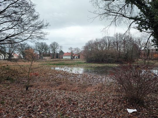 Teich Borgisdorf-1