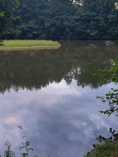 Pegnitz (Nürnberg)-4