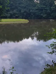 Pegnitz (Nürnberg)-4