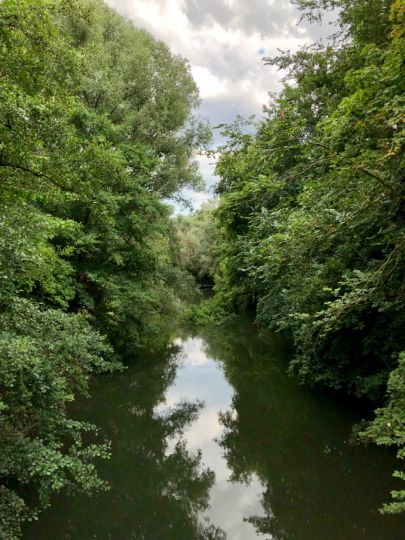 Pegnitz (Nürnberg)-2