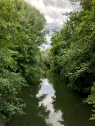 Pegnitz (Nürnberg)-2