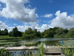 Mühlenteich (Dassow)