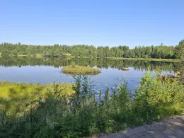 Matsbosjön-2