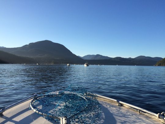 China Creek (Port Alberni)-2